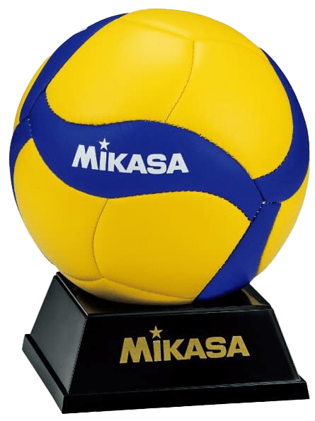 VolleyStore.it - Abbigliamento e calzature per il volley